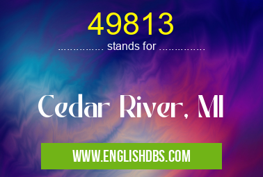 49813
