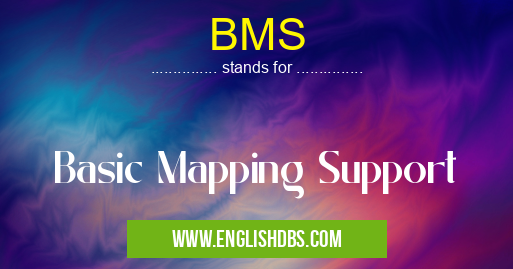 BMS means Basic Mapping Support BMS