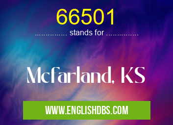 66501