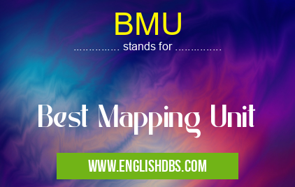 BMU means Best Mapping Unit BMU