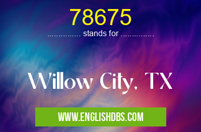 78675 means Willow City, TX 78675