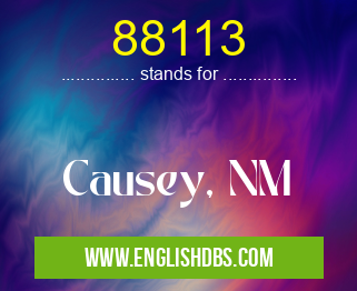 88113 means Causey, NM 88113