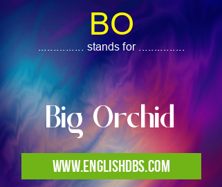 BO means Big Orchid BO
