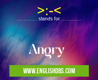 >:-< means Angry >:-<