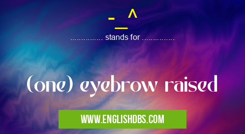 -_^ means (one) eyebrow raised -_^
