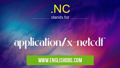 .NC means application/x-netcdf .NC