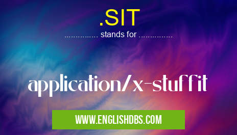 .SIT means application/x-stuffit .SIT