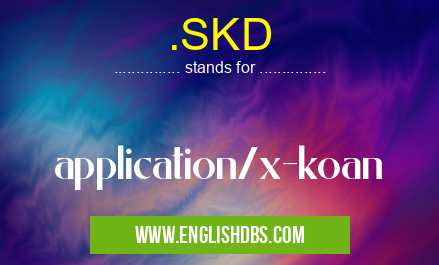 .SKD means application/x-koan .SKD