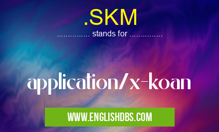.SKM means application/x-koan .SKM