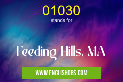 01030 means Feeding Hills, MA 01030