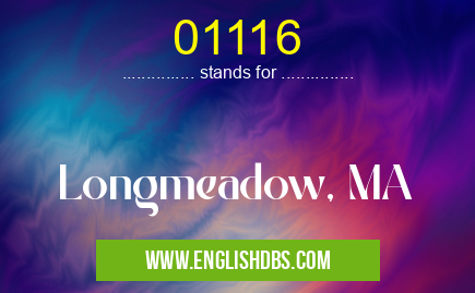 01116 means Longmeadow, MA 01116