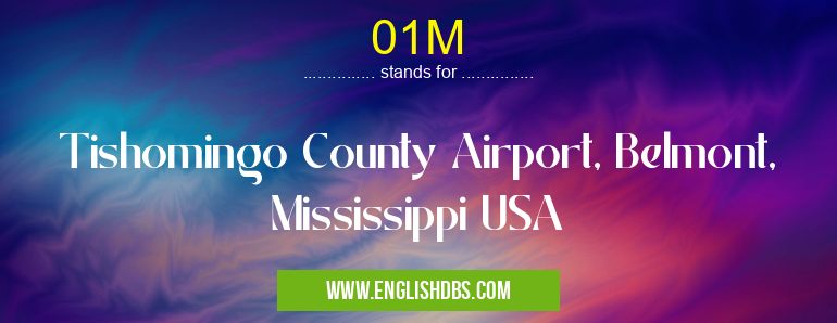01M