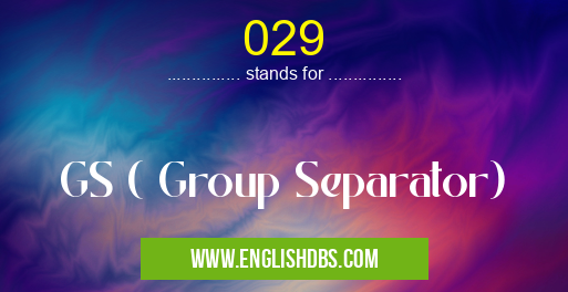029 means GS ( Group Separator) 029