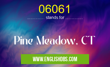06061 means Pine Meadow, CT 06061