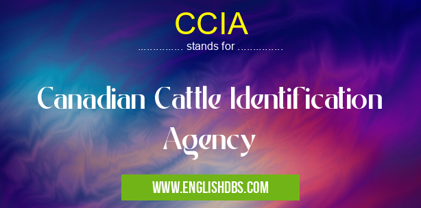 CCIA means Canadian Cattle Identification Agency CCIA