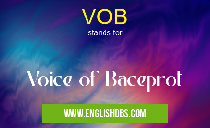 VOB means Voice of Baceprot VOB