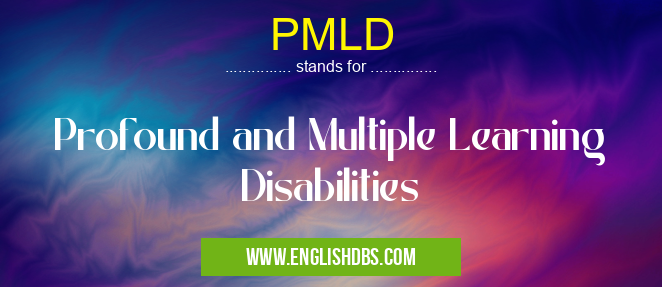 PMLD means Profound and Multiple Learning Disabilities PMLD