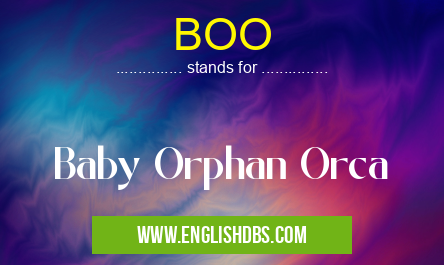 BOO means Baby Orphan Orca BOO