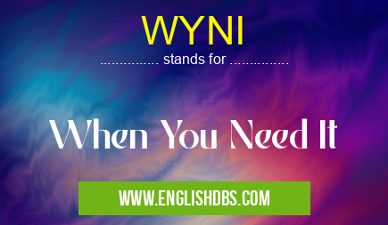 WYNI means When You Need It WYNI