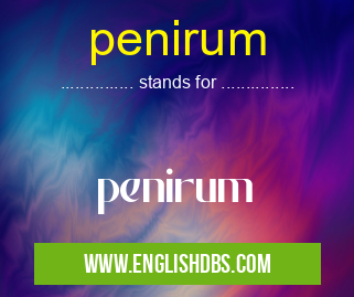 penirum means penirum penirum