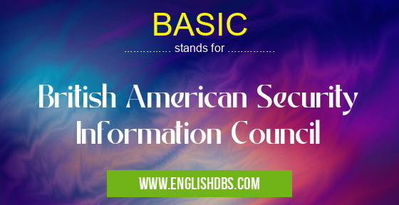 BASIC means British American Security Information Council BASIC