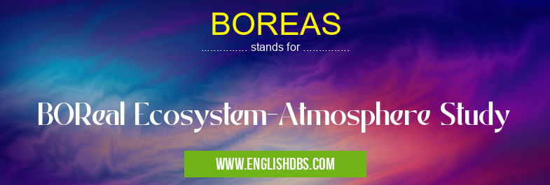 BOREAS means BOReal Ecosystem-Atmosphere Study BOREAS