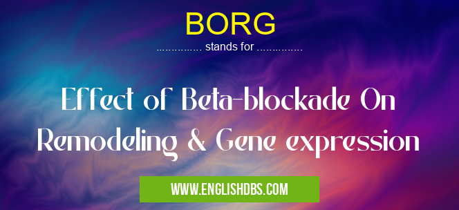 BORG means Effect of Beta-blockade On Remodeling & Gene expression BORG