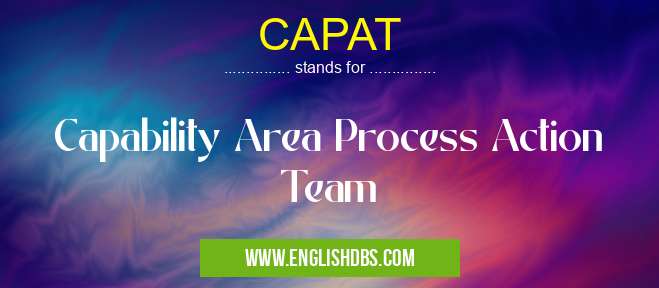 CAPAT means Capability Area Process Action Team CAPAT