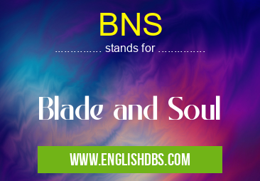 BNS means Blade and Soul BNS