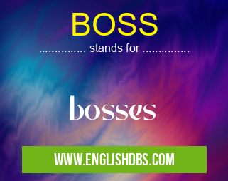 BOSS means bosses BOSS