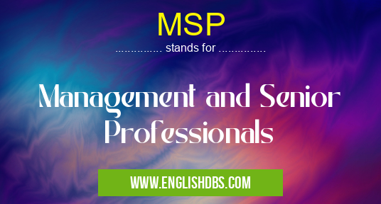 MSP means Management and Senior Professionals MSP