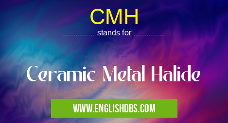 CMH means Ceramic Metal Halide CMH