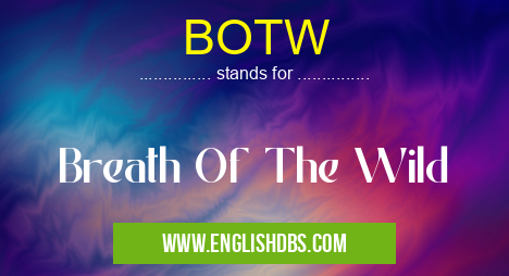 BOTW means Breath Of The Wild BOTW