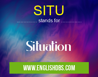 SITU means Situation SITU