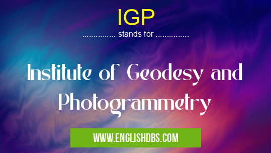 IGP means Institute of Geodesy and Photogrammetry IGP
