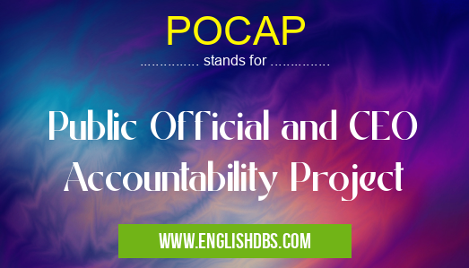 POCAP means Public Official and CEO Accountability Project POCAP