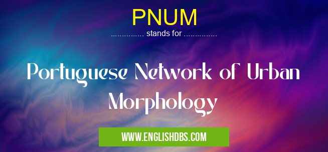 PNUM means Portuguese Network of Urban Morphology PNUM