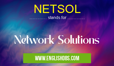 NETSOL means Network Solutions NETSOL