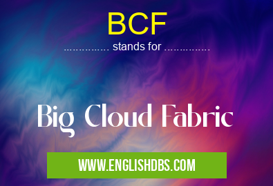 BCF means Big Cloud Fabric BCF