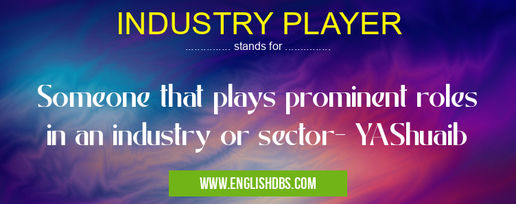 INDUSTRY PLAYER means Someone that plays prominent roles in an industry or sector- YAShuaib INDUSTRY PLAYER